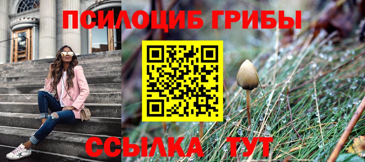 Псилоцибиновые грибы мухоморы Прохладный
