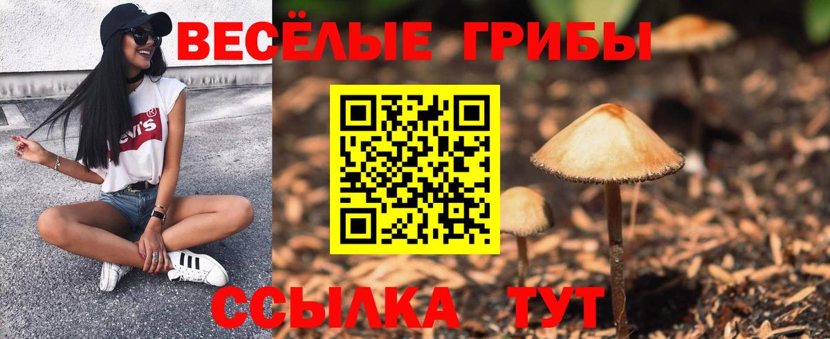 Галлюциногенные грибы Psilocybe  Вход с VPN  Прохладный  Псилоцибиновые грибы Psilocybe 